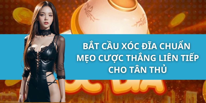 Bắt Cầu Xóc Đĩa Chuẩn - Mẹo Cược Thắng Liên Tiếp Cho Tân Thủ