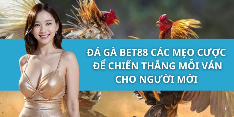 Đá Gà Bet88 - Mẹo Cược Để Chiến Thắng Mỗi Ván Cho Người Mới