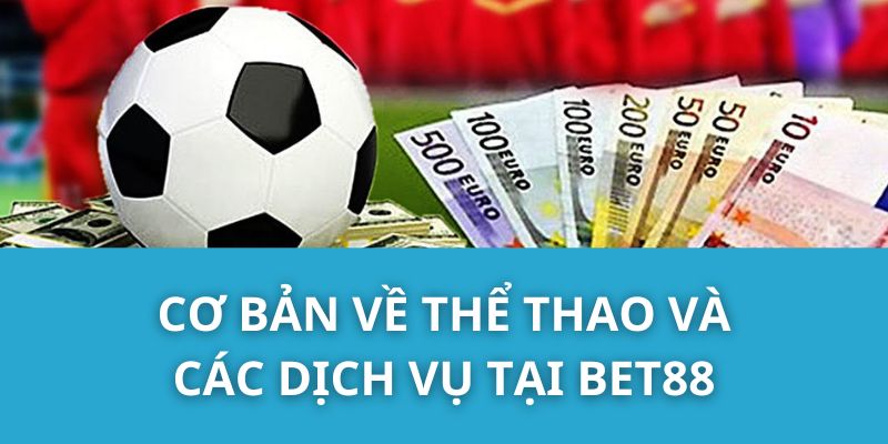 Cơ bản về thể thao và các dịch vụ tại Bet88