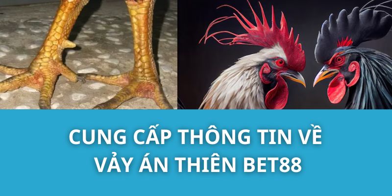 Cung Cấp Thông Tin Về Vảy Án Thiên Bet88