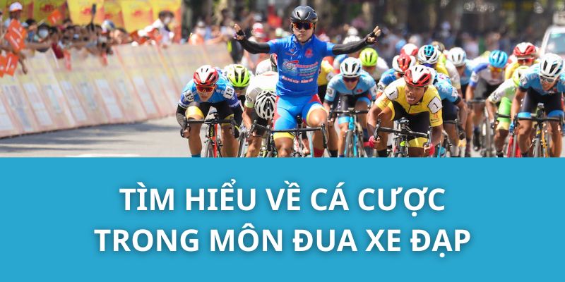 Tìm hiểu về cá cược trong môn đua xe đạp