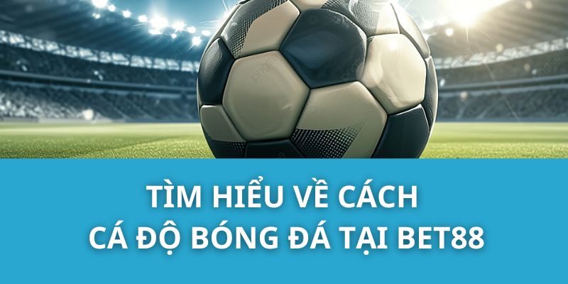 Tìm hiểu về cách cá độ bóng đá tại Bet88