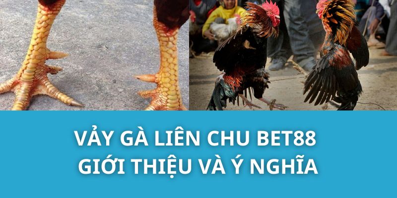 Vảy Gà Liên Chu Bet88 - Giới Thiệu và Ý Nghĩa