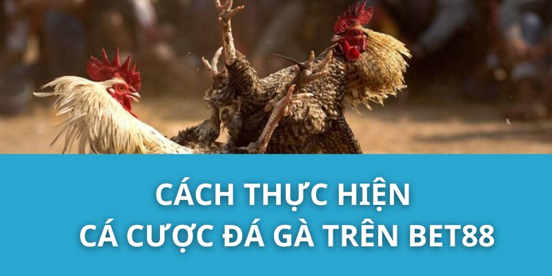 Cách Thực Hiện Cá Cược Đá Gà Trên Bet88