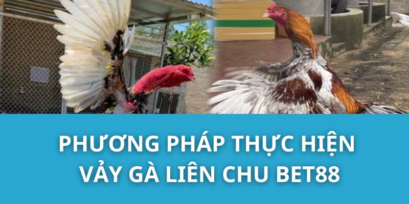 Phương Pháp Thực Hiện Vảy Gà Liên Chu Bet88