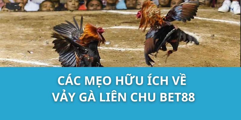 Các Mẹo Hữu Ích Về Vảy Gà Liên Chu Bet88