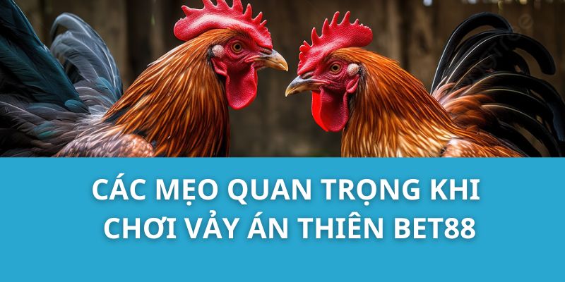 Các Mẹo Quan Trọng Khi Chơi Vảy Án Thiên Bet88