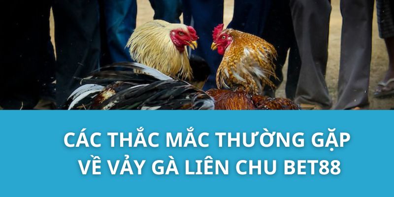 Các Thắc Mắc Thường Gặp Về Vảy Gà Liên Chu Bet88