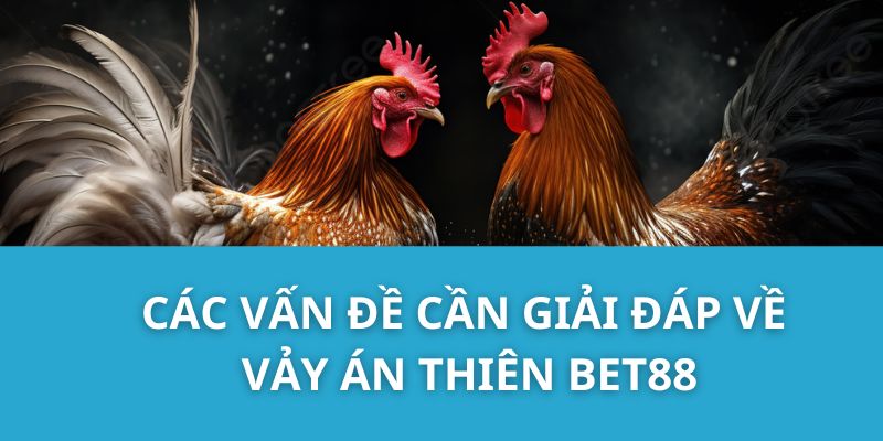 Các Vấn Đề Cần Giải Đáp Về Vảy Án Thiên Bet88