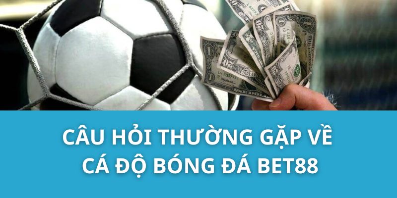 Câu hỏi thường gặp về cá độ bóng đá Bet88