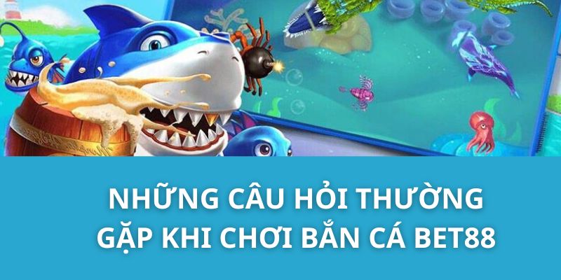 Những câu hỏi thường gặp khi chơi Bắn cá Bet88