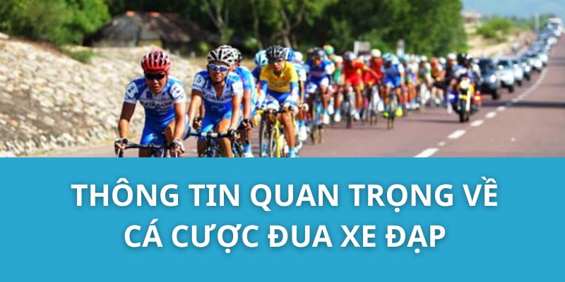 Thông tin quan trọng về cá cược đua xe đạp