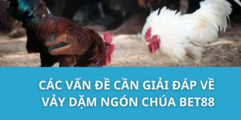 Các Vấn Đề Cần Giải Đáp Về Vảy Ngón Chúa Bet88