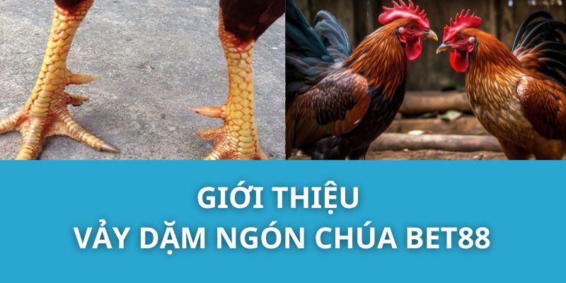 Giới Thiệu Vảy Dặm Ngón Chúa Bet88