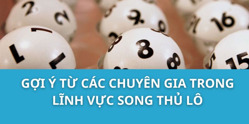 Gợi ý từ các chuyên gia trong lĩnh vực Song Thủ Lô