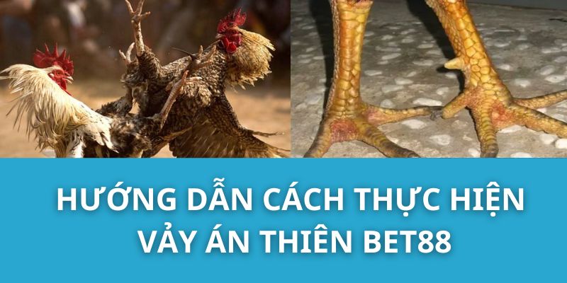 Hướng Dẫn Cách Thực Hiện Vảy Án Thiên Bet88