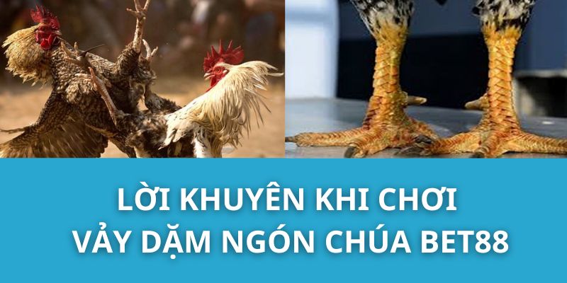 Lời Khuyên Khi Chơi Vảy Dặm Ngón Chúa Bet88